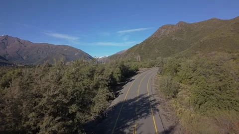 Low forward reveal shot rising along a curving empty road through dense Stock Footage 346553549