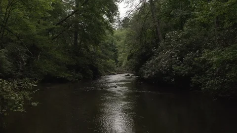 Low forward tracking on river in forested area in southeastern United States Video stock 112288227