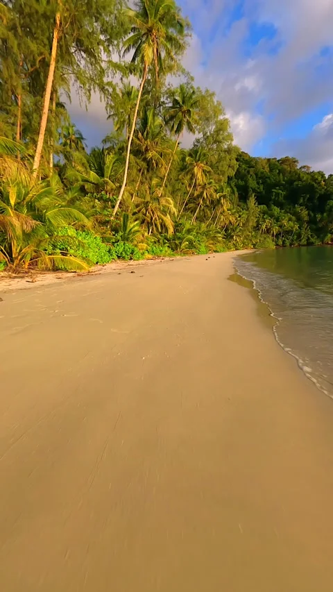 Low FPV drone flight over tropical beach with palm trees at sunset in Thailand Stock Footage 308516334