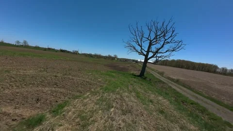 Low FPV drone shot weaving over a freshly planted farm fields and dirt road Stock Footage 341813591