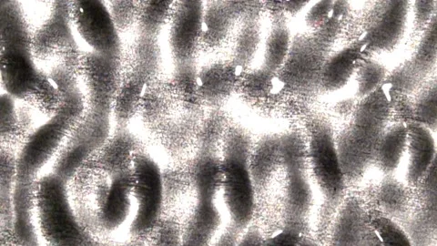 Low frequency wave patterns with large nodes evolve into high frequency Stock Footage 144631095