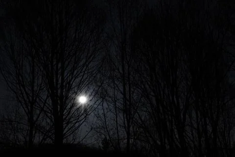Low Full Moon Stock Photos