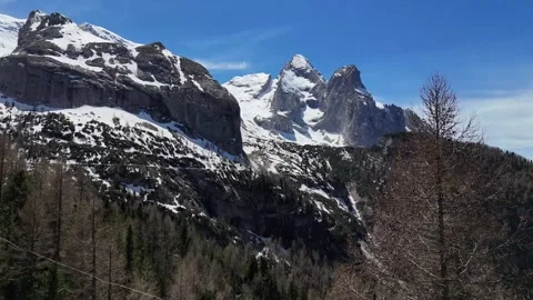 Low Glide Drone Advance Past Pine Tree Canopies Facing Majestic Alps Wal Stock Footage 340053218