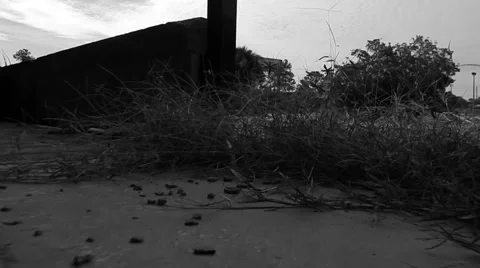 Low in the grass of old rundown building Vídeos de archivo 45305997