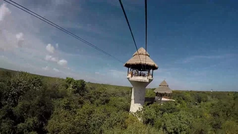 Low gravity slide on a strop ropeway over lush green trees in HD Stock Footage 162123879