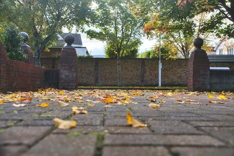 Low ground view of typical Irish yard with fallen autumn orange leaves Stock Photos