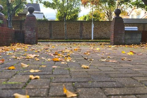 Low ground view of typical Irish yard with fallen autumn orange leaves Stock Photos