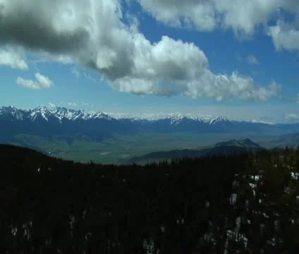 Low-hanging clouds over pines in Paradise Valley Montana Stock Footage 21611171