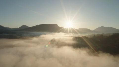 Low hanging mist over tree's near Kilchurn castle, Scotland Stock Footage 89216929
