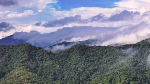 Low hanging moving clouds near the top of green mountains after tropical rain 스톡 동영상 308283195