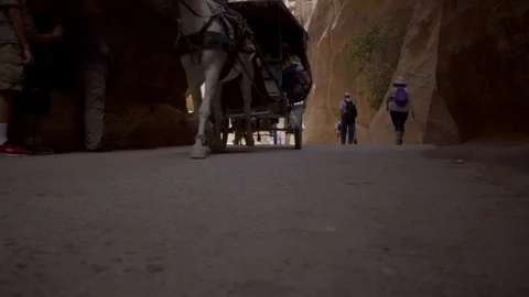 Low to High angle view of  tourist on the horse and carriage ride Stock Footage 103522603