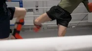 Low Kicks Legs Kickboxing Athletes Sport Workout Stock Footage