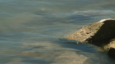 Low Lake Travis Rocks Stock Footage 39296138