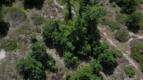 Low Left-to-Right Drone Shot - Huckleberry Rock &amp; Muskoka Lake Views Stock Footage 314233938
