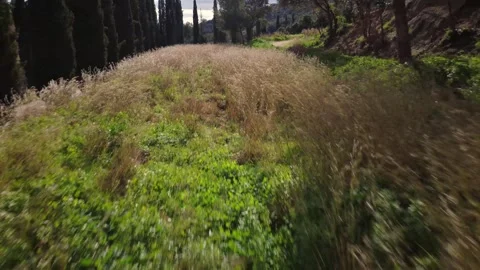 Low-Level Aerial Flight Over Countryside with Gentle Breeze Video stock 326972593