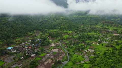 Low level clouds and rural village with rice farms Video stock 156484696