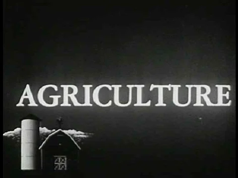 Low level crop dusting of cotton fields. Very dramatic flying. Stock Footage 74717709