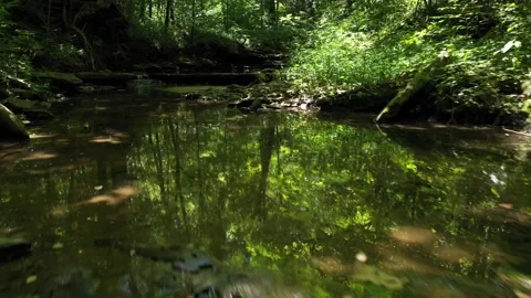 Low Level Drone Flight Scenic Forest Stream Kentucky Stock Footage 142787511