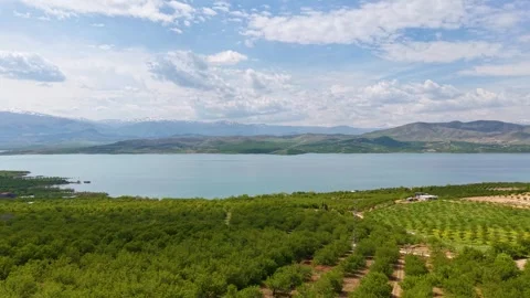 Low-Level Flight Above Apricot Orchards Approaching a Tranquil River Stock-Footage 340519968