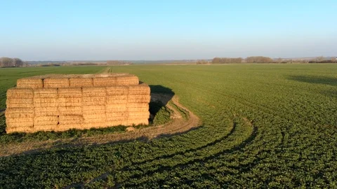 Low level flight above large hay stack in spring rapeseed field Stock Footage 126670595
