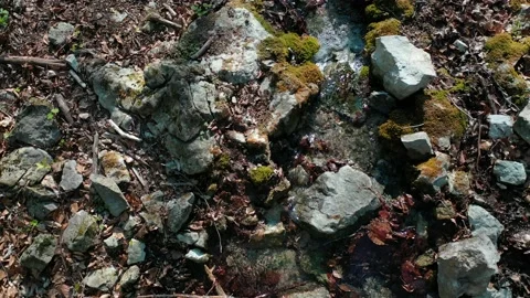 Low level flight above mineral spring flowing in travertine rocks in forest Stock Footage 137436732