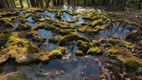 Low level flight above mineral spring on moss covered travertine rocks Stock Footage 137437009