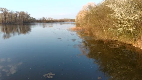 Low level flight above spring fish pond, flowering trees on right bank Stock Footage 127285222