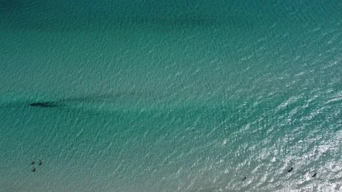 Low Level Flight Over Sea At Sunrise. Aerial Reveal Shot Drone Footage Video stock 225851201