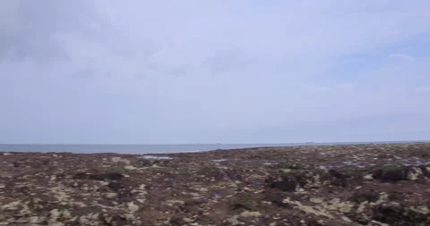Low Level panning shot left to right looking West down botany Bay Beach at low Vidéo 331339016