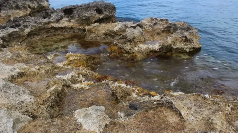 Low Level Shot, Rocky Rocks With Slow Waves Moving With Seaweed and pools Stock Footage 34256484