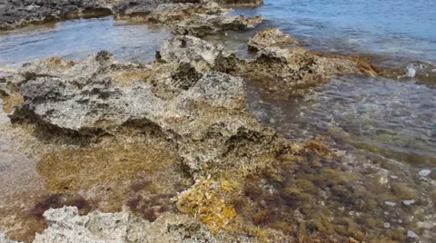 Low Level Shot, Rocky Rocks With Slow Waves Moving With Seaweed and pools Stock Footage 34256520
