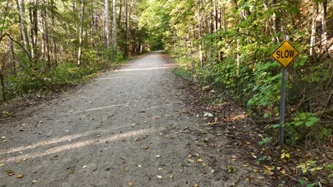 Low Level Side Scroll Across Forest Trail Near Barrie Ontario Stock Footage 318378057