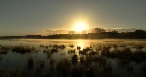 Low level tracking shot over marsh at sunrise Stock Footage 342975766