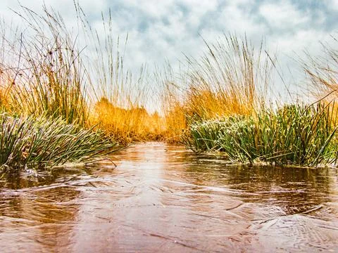 Low-level view of ice on pool of water in winter Stock Photos