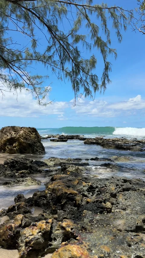 Low level view of waves rolling onto tropical coastline rocks Stock-Footage 335894944
