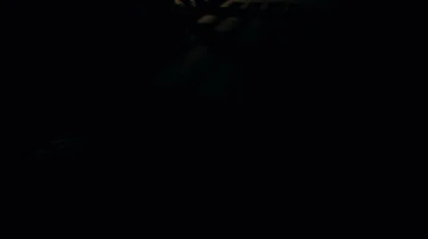 Low light illuminating dungeon floor 動画素材 37228892