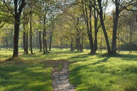 Low light landscape with trail Stock Photos