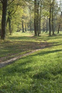 Low light landscape with trail Foto stock