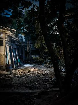 Low Light or Night View of Rustic Outdoor Yard with Storage and Trees Stock Photos
