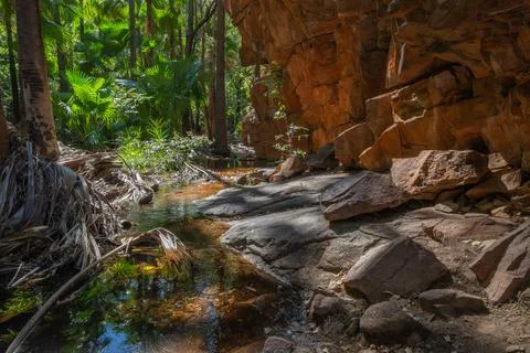 Low light in rugged narrow gorge with rocky track and stream Stock Photos