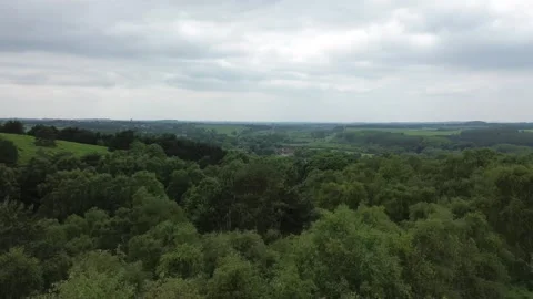 Low line tree shoot Stock Footage 278263110