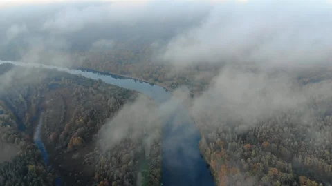 Low-lying clouds over an evergreen forest with a river. Fog over the jungle Stock Footage 126492188