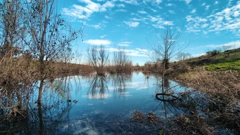 Low lying land with flooded trees and refections on the water Stock Footage 263081406