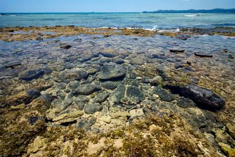 Low in madagascar Stock Photos