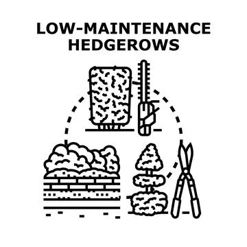 Low maintenance hedgerows concept with gardening tools Stock Illustration