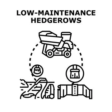 Low maintenance hedgerows concept illustration for landscape design Stock Illustration