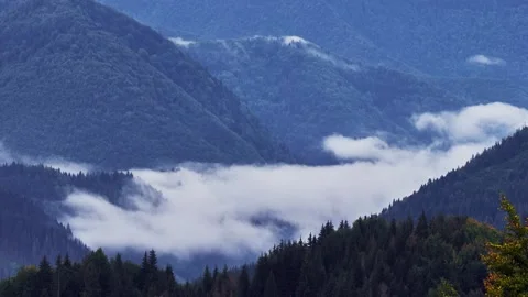 Low misty clouds are spilling over a spruce forest in a mountain valley. FHD Stock Footage 211865526
