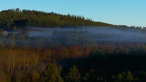 Low Misty Clouds Over Forest Mountains At Sunrise Stock Footage 300360493