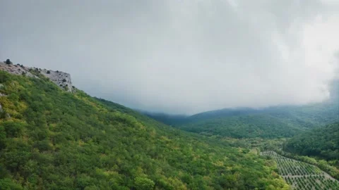 Low-motion shot with blank space for caption or caption, mountains, vineyard Stock Footage 220632702