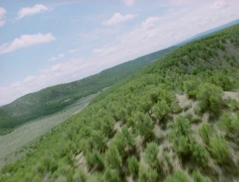 Low nap of the earth flying over green tree mountains Stock Footage 136072165